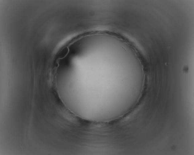 X0000094961262200712131637