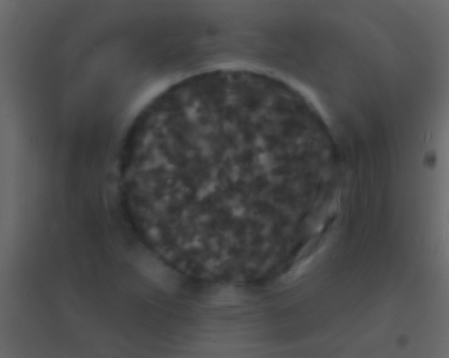 X0000094961263200712131637