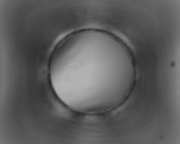 X0000094961264200712131637