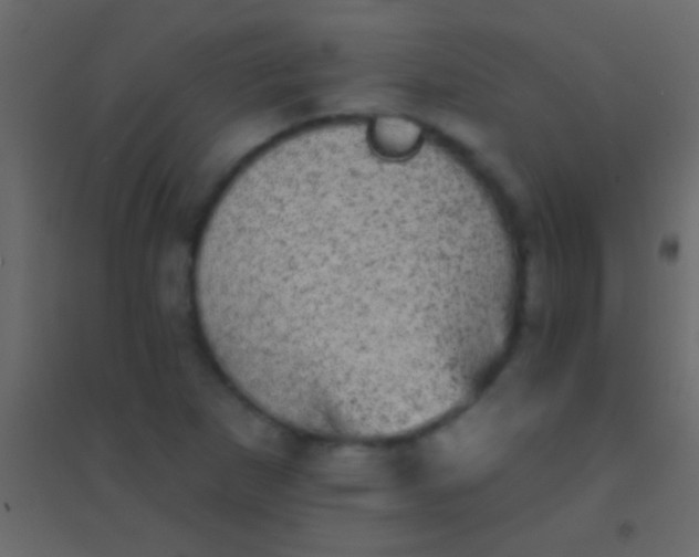 X0000094961265200712131637