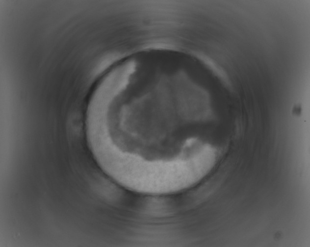 X0000094961266200712131637