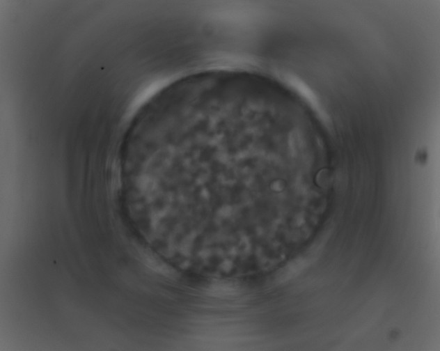 X0000094961267200712131637