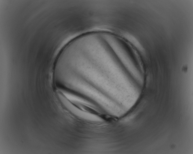 X0000094961268200712131637