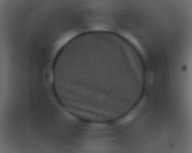 X0000094961269200712131637