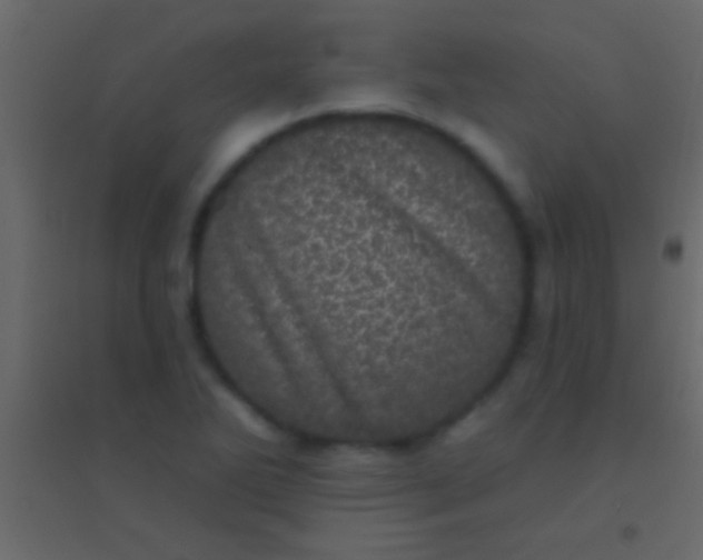 X0000094961270200712131637