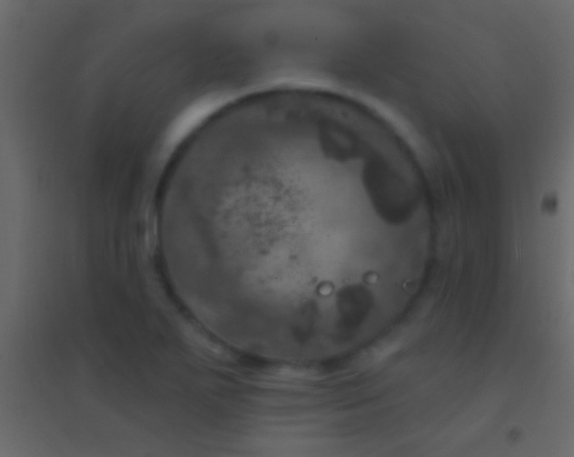 X0000094961271200712131637