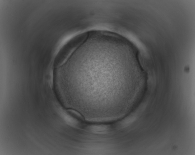 X0000094961272200712131637