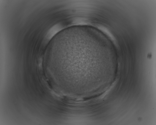 X0000094961273200712131637