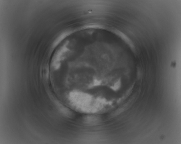 X0000094961274200712131637