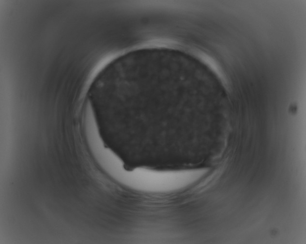 X0000094961275200712131637