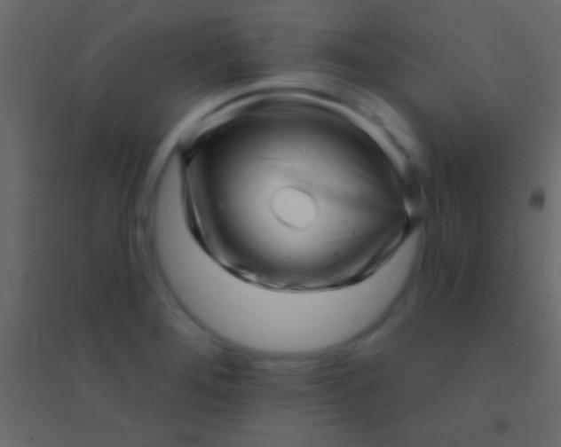 X0000094961276200712131637