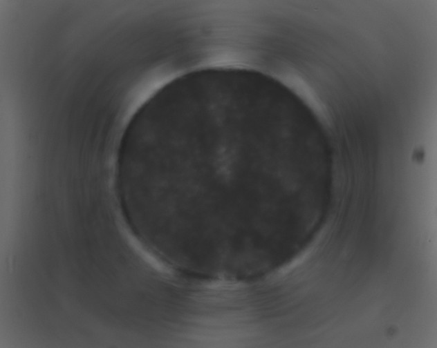 X0000094961277200712131637