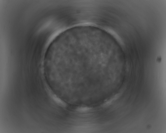 X0000094961278200712131637