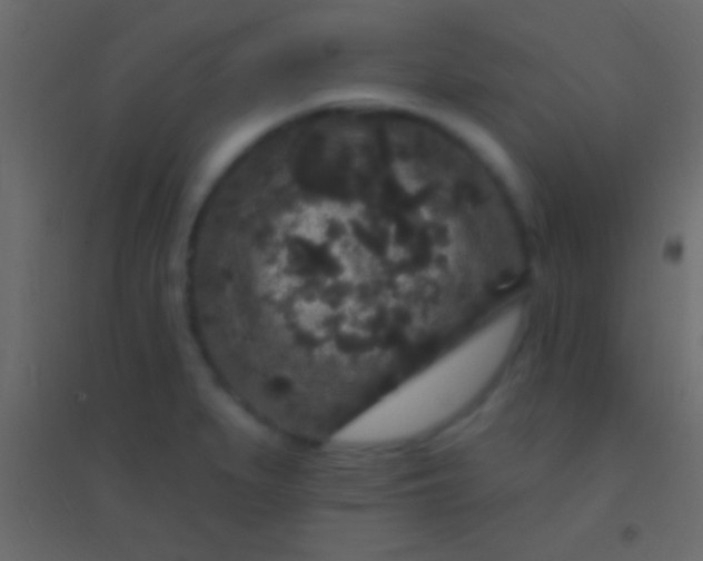 X0000094961279200712131637