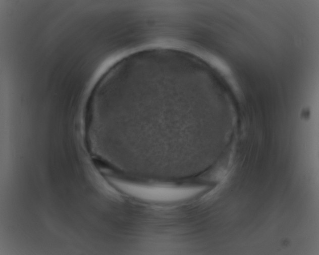 X0000094961280200712131637