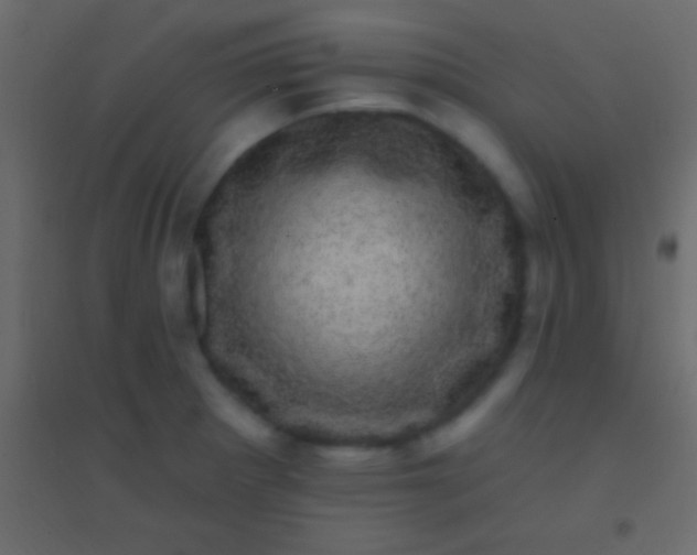 X0000094961281200712131637