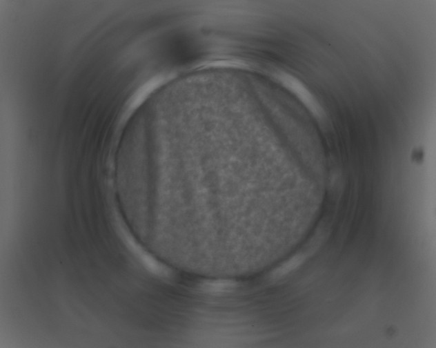 X0000094961282200712131637