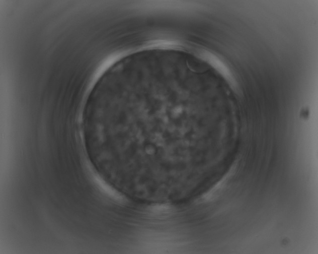 X0000094961283200712131637