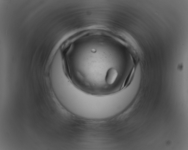 X0000094961284200712131637