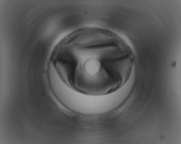 X0000094961285200712131637