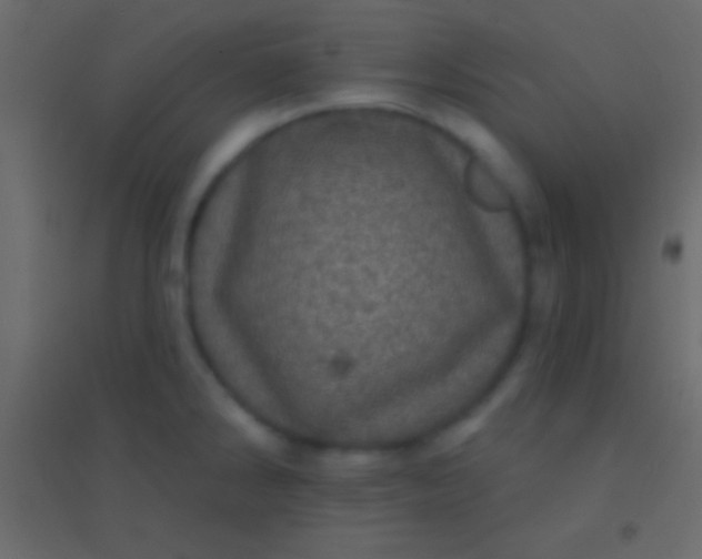 X0000094961286200712131637