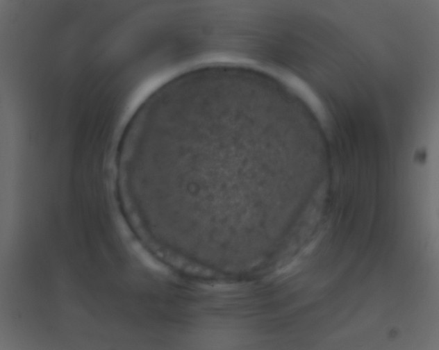 X0000094961287200712131637