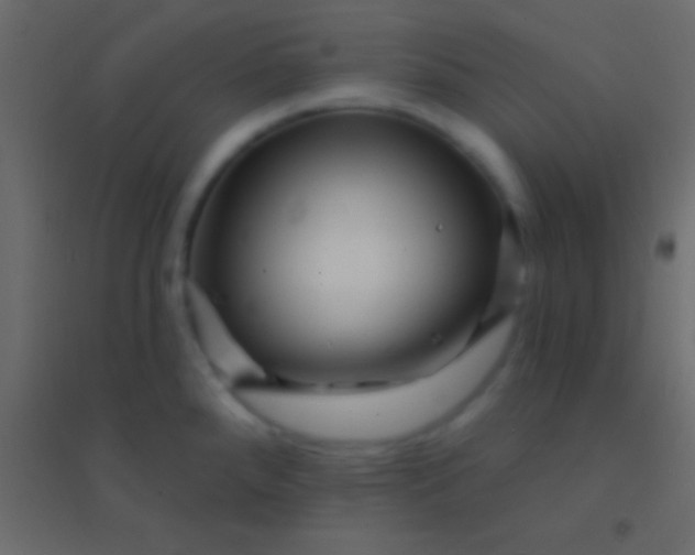 X0000094961288200712131637