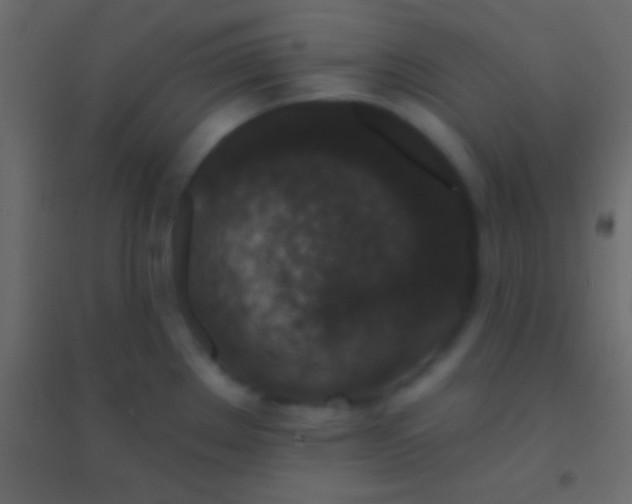 X0000094961289200712131636