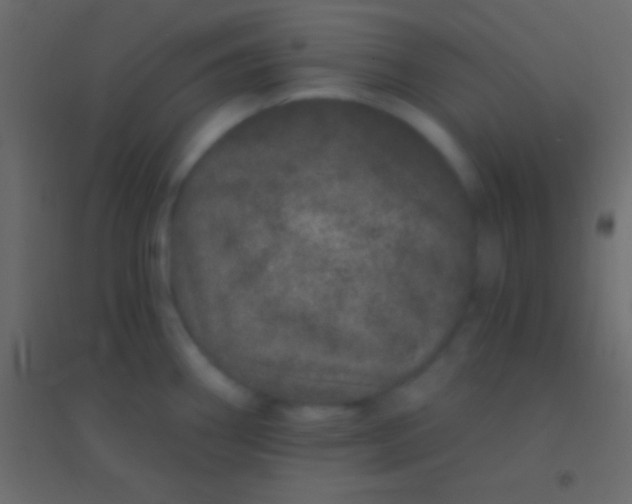 X0000094961290200712131636