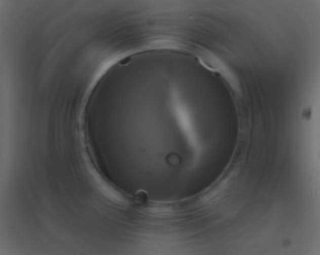 X0000094961291200712131636