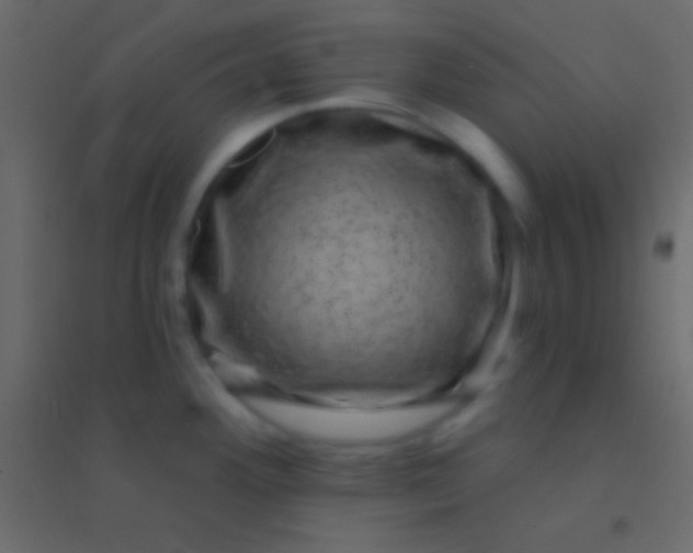 X0000094961292200712131636