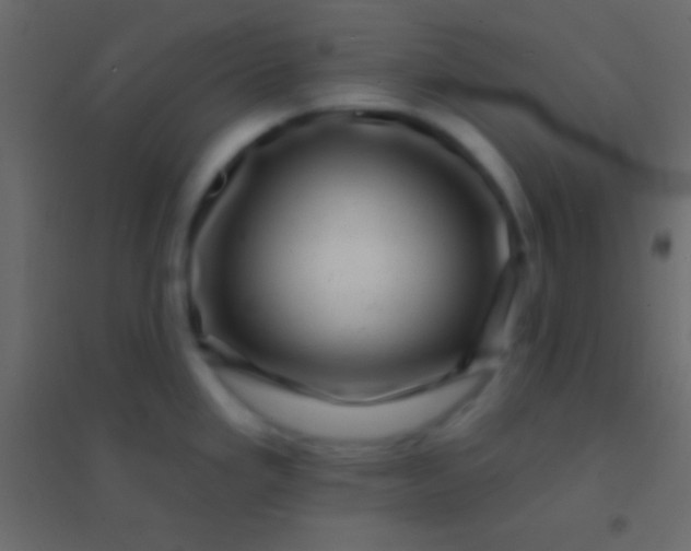 X0000094961293200712131636