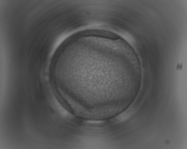 X0000094961296200712131636