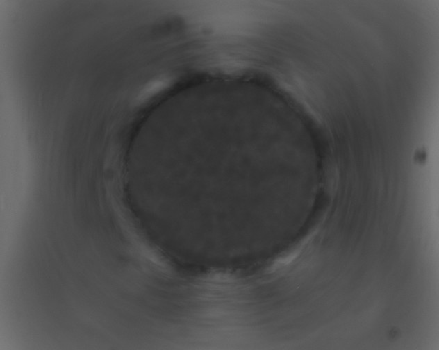 X0000094961297200712131636