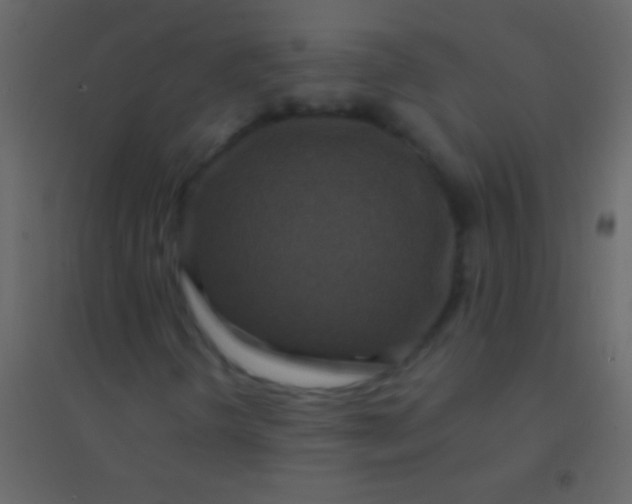 X0000094961298200712131636