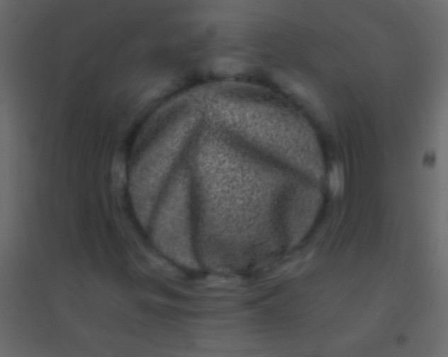 X0000094961299200712131636