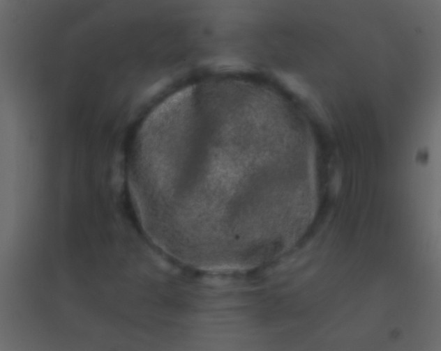 X0000094961301200712131636