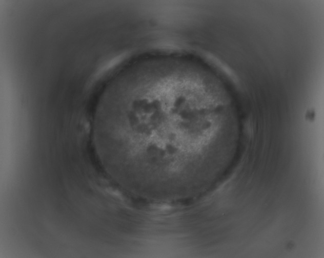 X0000094961302200712131636