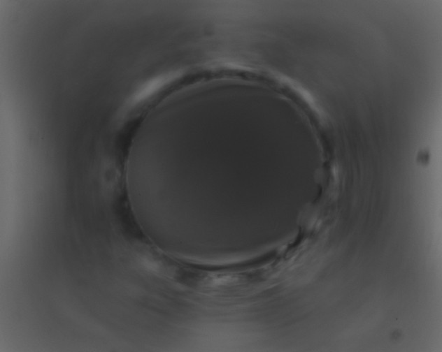 X0000094961303200712131636