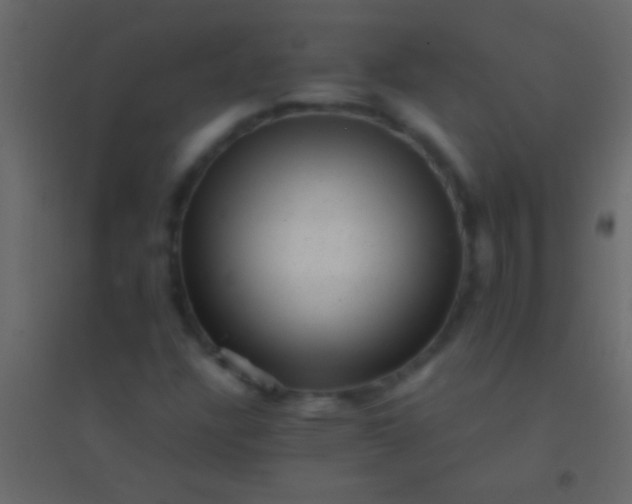 X0000094961304200712131636