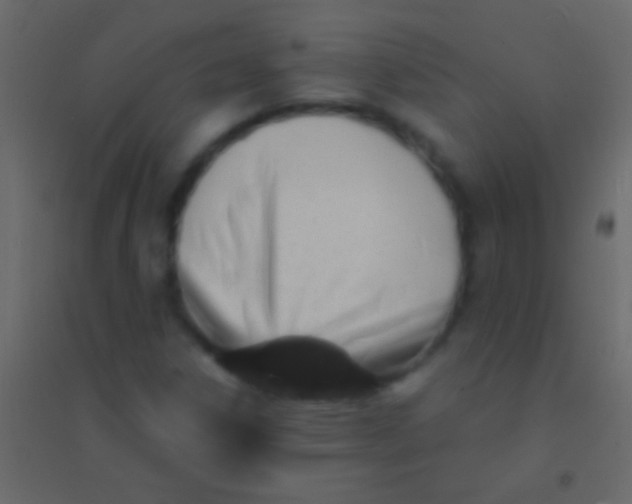 X0000094961306200712131636