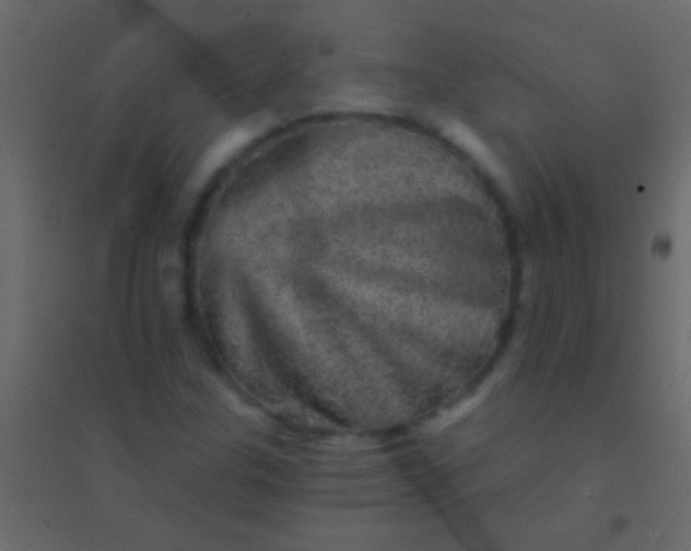 X0000094961307200712131636