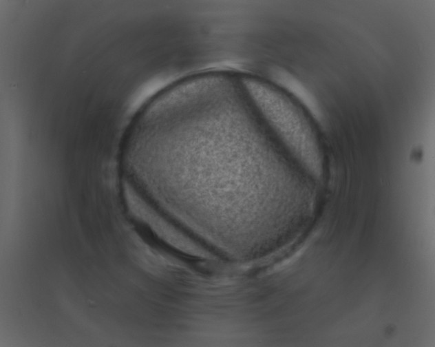 X0000094961308200712131636