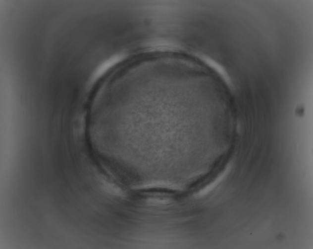 X0000094961309200712131636