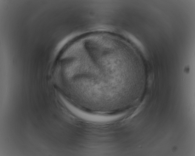 X0000094961310200712131636