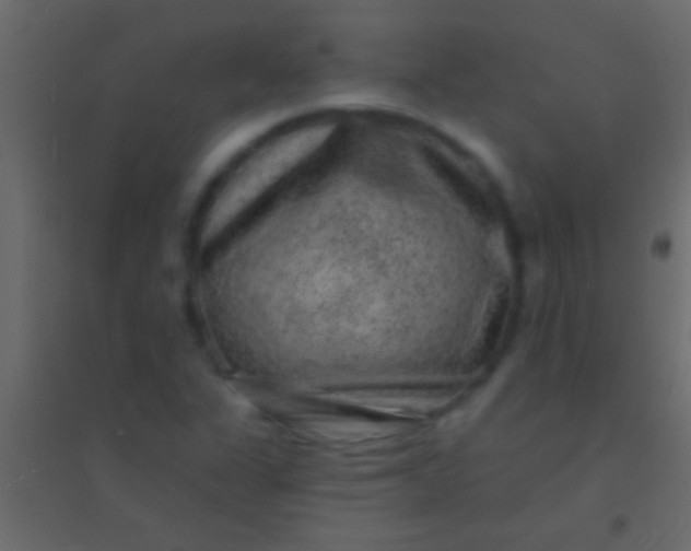 X0000094961311200712131636