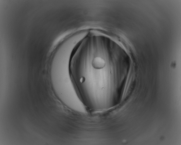 X0000094961312200712131636