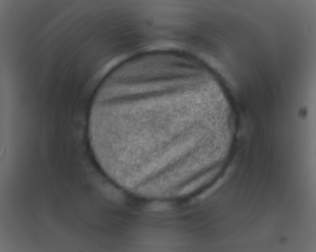 X0000094961313200712131636