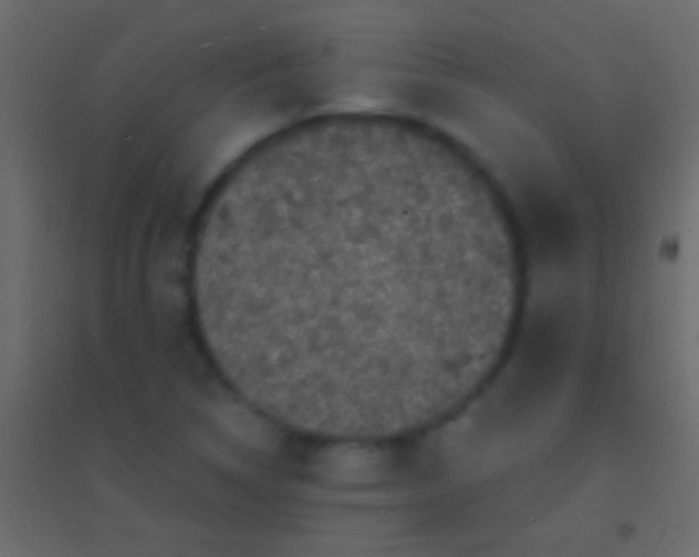 X0000094961314200712131636