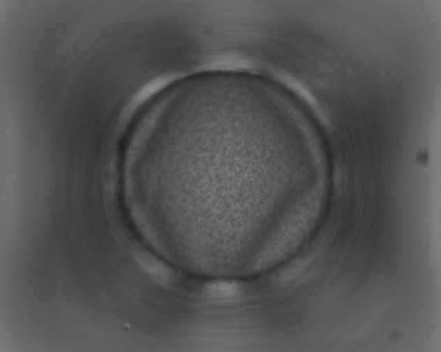 X0000094961315200712131636